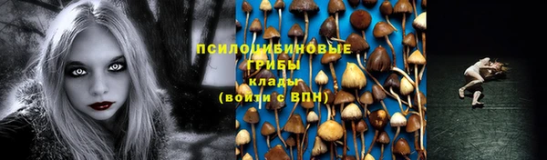 крисы Бугульма