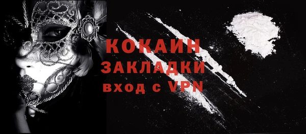 apvp Бородино
