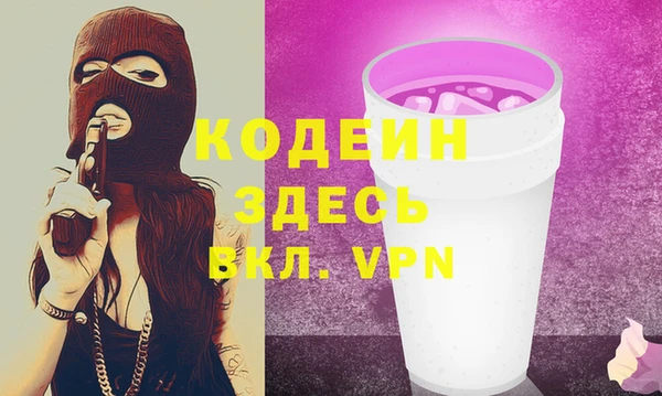 apvp Бородино
