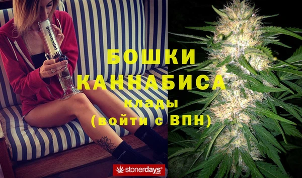 apvp Бородино