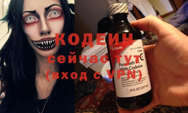apvp Бородино