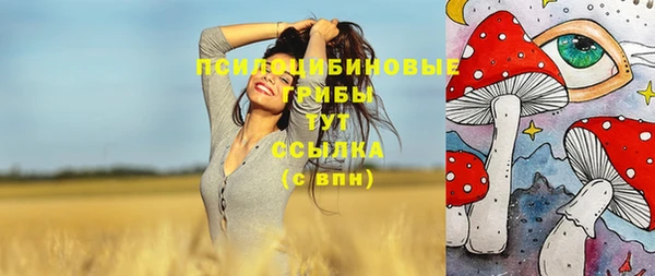 MDMA Premium VHQ Верхний Тагил
